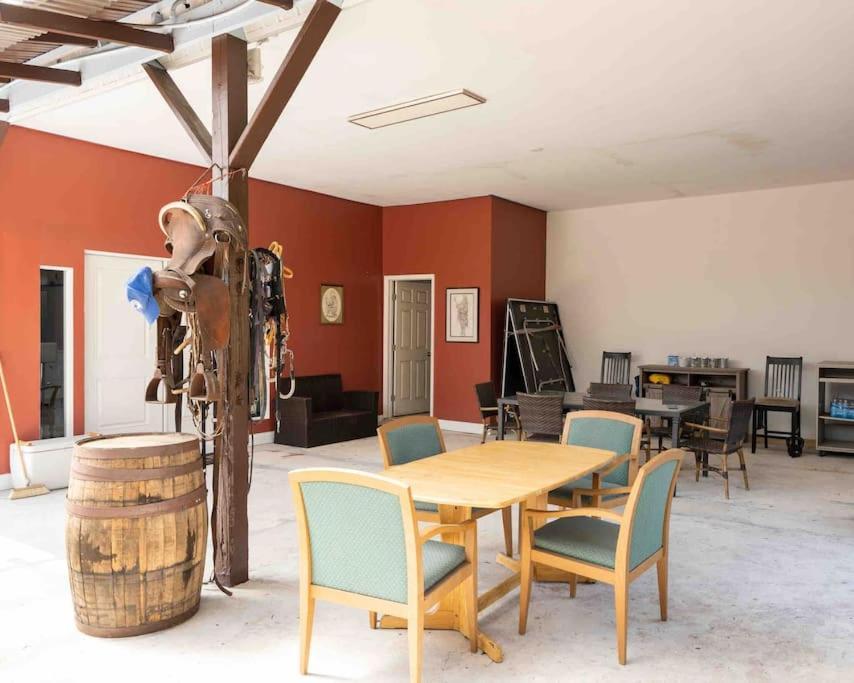 Appartement Tampa Bay Oasis à Tarpon Springs Extérieur photo